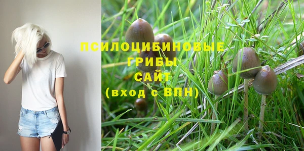 марки lsd Богданович