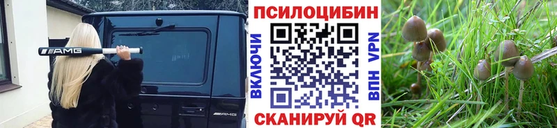 Галлюциногенные грибы GOLDEN TEACHER  omg ССЫЛКА  Владивосток 